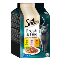 Sheba Fresh & Fine Huhn, Truthahn und Lachs Sheba Fresh & Fine Huhn, Truthahn und Lachs