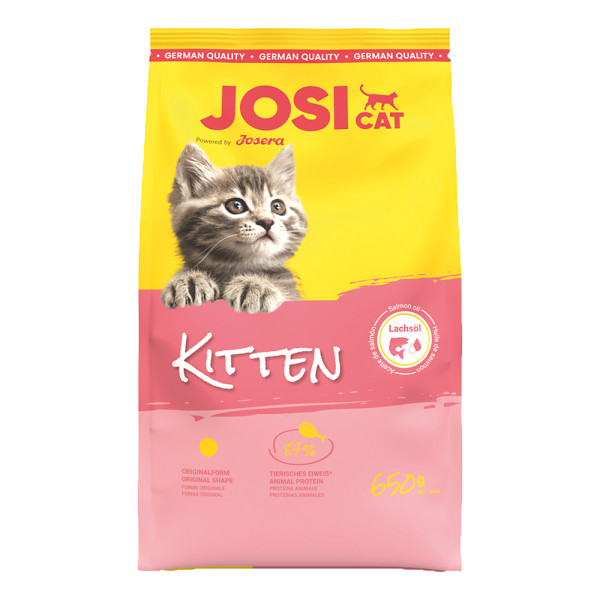 JosiCat Kitten