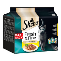 Sheba Fresh & Fine Huhn Geflügel Truthahn Maxipack Sheba Fresh & Fine Huhn Geflügel Truthahn Maxipack