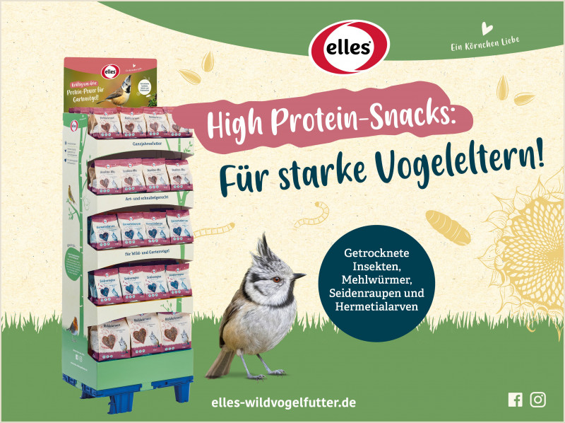 elles Insekten-Display