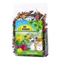 JR Farm Sommerfeld JR Farm Sommerfeld