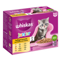 Whiskas Whiskas Multipack Junior Geflügel Auswahl in Gelee Whiskas Whiskas Multipack Junior Geflügel Auswahl in Gelee