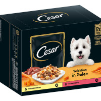 Cesar Multipack in Gelee mit Fleisch & Gemüse Cesar Multipack in Gelee mit Fleisch & Gemüse