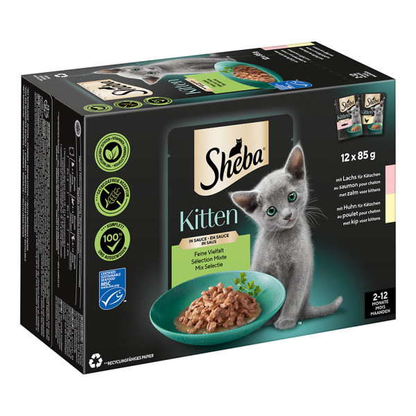 Sheba Multipack Kitten Feine Vielfalt in Sauce