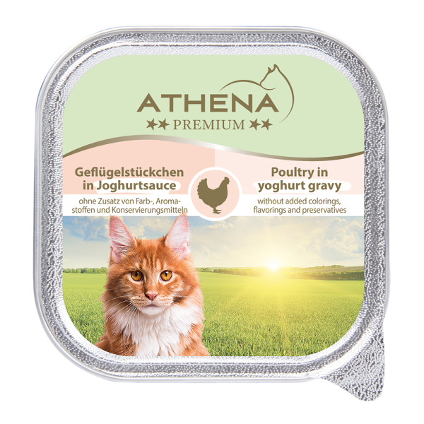 Athena Mit Geflügelstückchen in Joghurtsauce