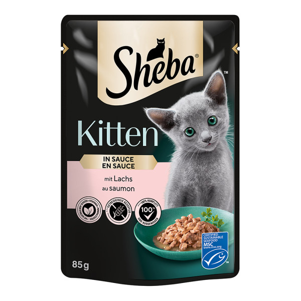 Sheba Kitten mit Lachs in Sauce