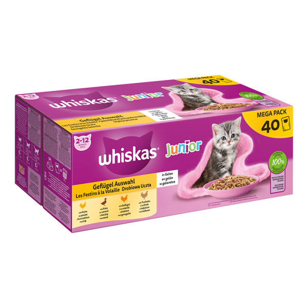 Whiskas Mega Pack Junior Geflügel Auswahl in Gelee