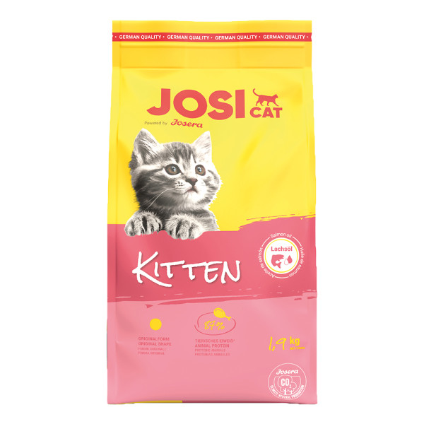 JosiCat Kitten