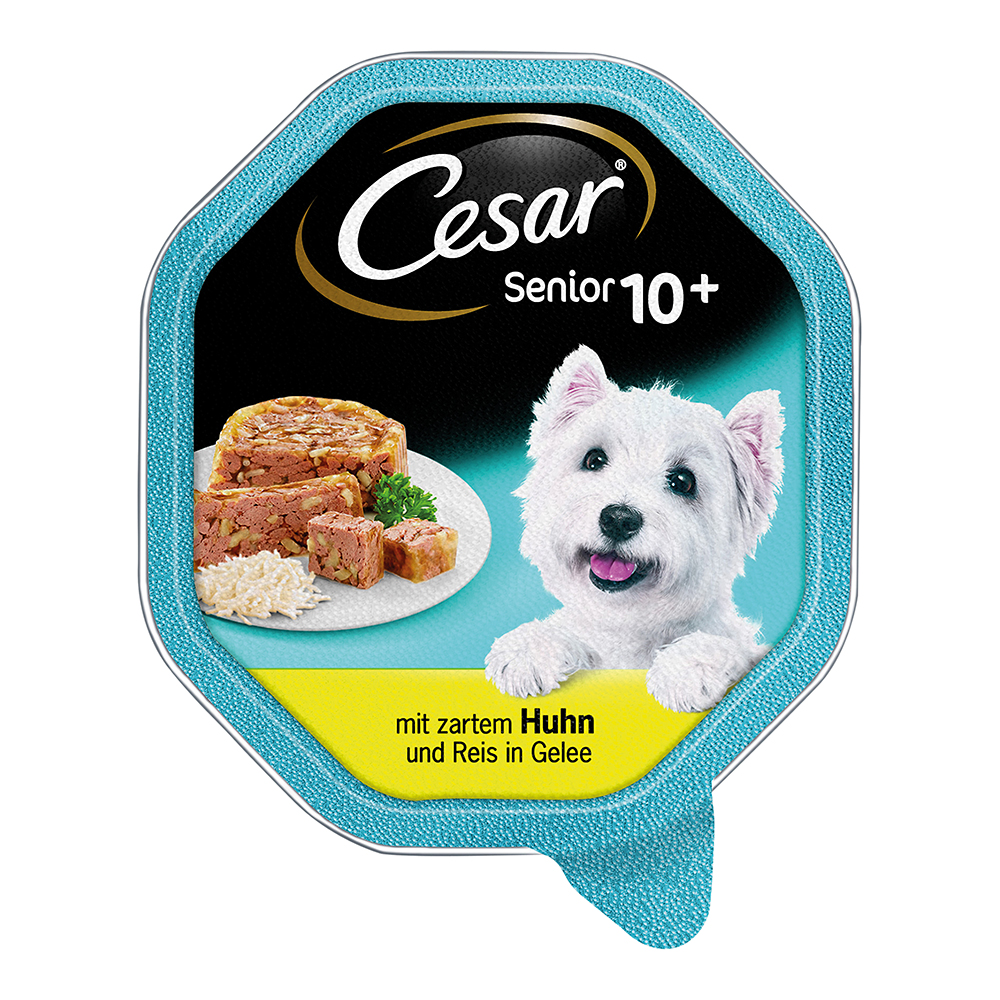 Cesar Senior 10+ Huhn &amp; Reis in Gelee Nassfutter Hundefutter Hund