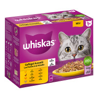 Whiskas Whiskas Multipack 1+ Geflügel Auswahl in Gelee Whiskas Whiskas Multipack 1+ Geflügel Auswahl in Gelee