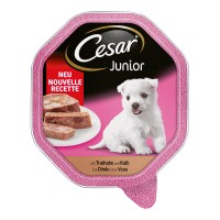 Cesar Junior Truthahn & Kalb Pastete Cesar Junior Truthahn & Kalb Pastete